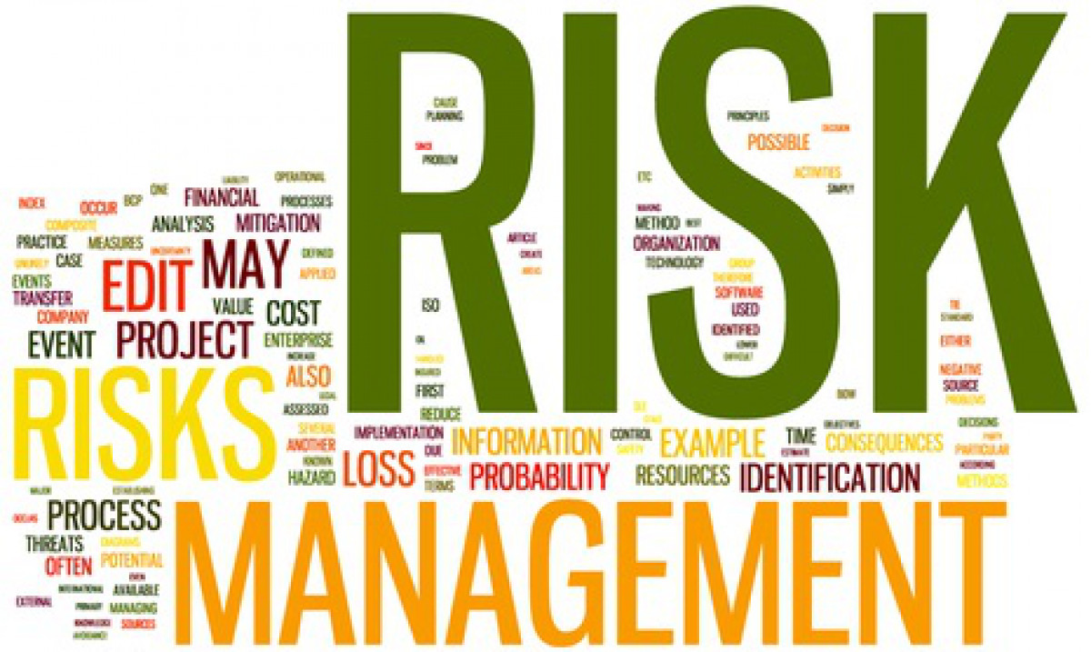محترف إدارة المخاطر المعتمد Certified Risk Management Professional